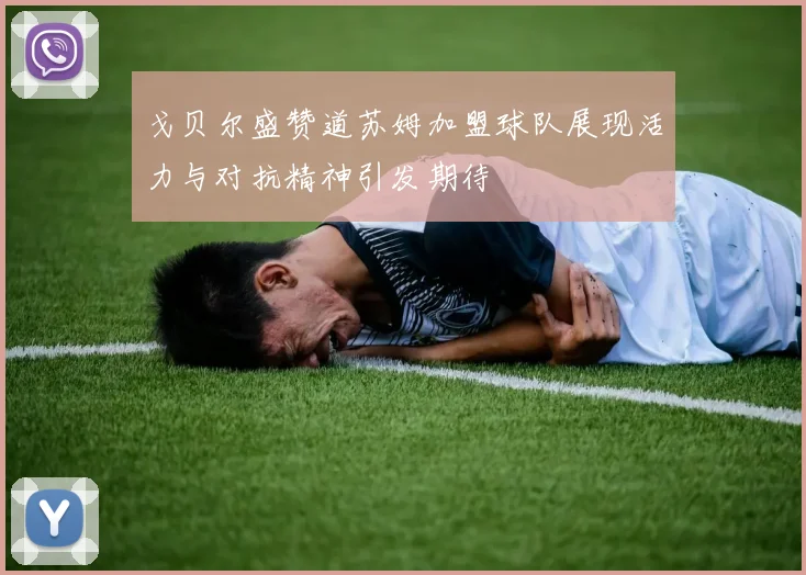戈贝尔盛赞道苏姆加盟球队展现活力与对抗精神引发期待